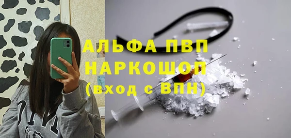 амф Верхний Тагил