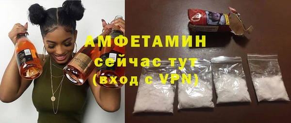 амф Верхний Тагил