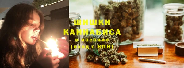 амф Верхний Тагил