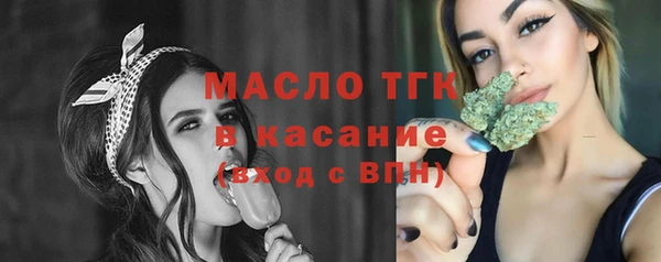 амф Верхний Тагил