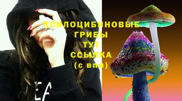 гидропоника Верея