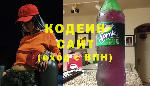 амф Верхний Тагил
