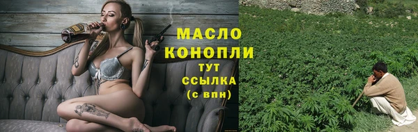 амф Верхний Тагил