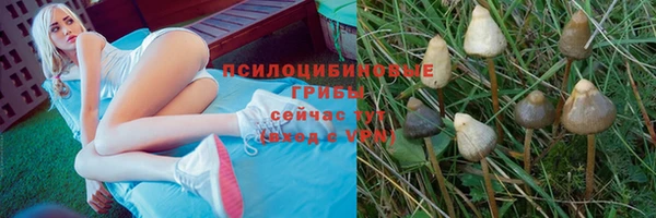 гидропоника Верея