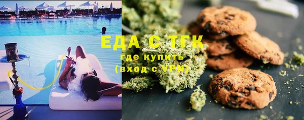 амф Верхний Тагил
