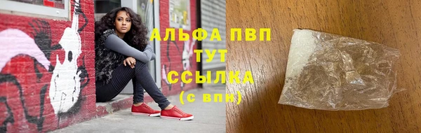 амф Верхний Тагил