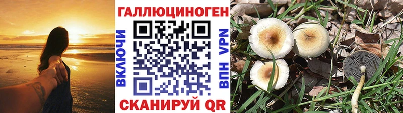 Псилоцибиновые грибы Magic Shrooms  Купить  Прохладный 